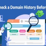 Check Domain History Before Registration